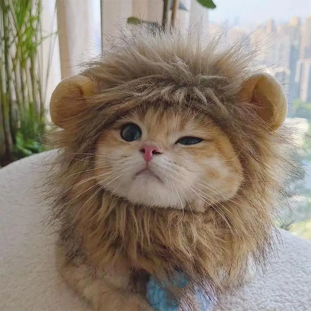 Cute Lion Headgear Cat Hat Mane Wig for Dogs and Cat Small Dog Pet Cat Decor Accessories Lion Wig Fancy Hair Cap Pet Supplies
