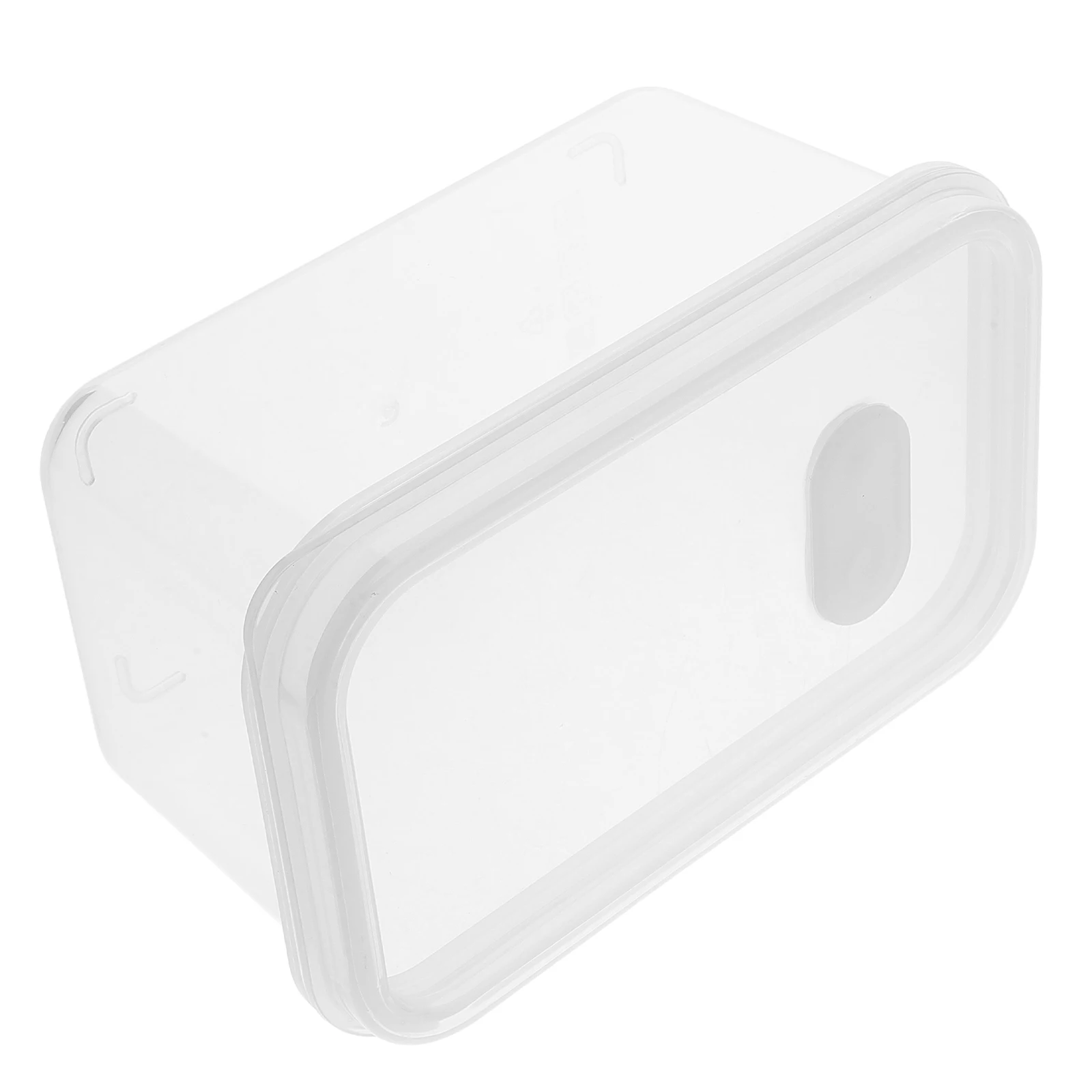

Crisper Freezer Food Boxes with Lids Transparent Pp Containers Disposable Travel