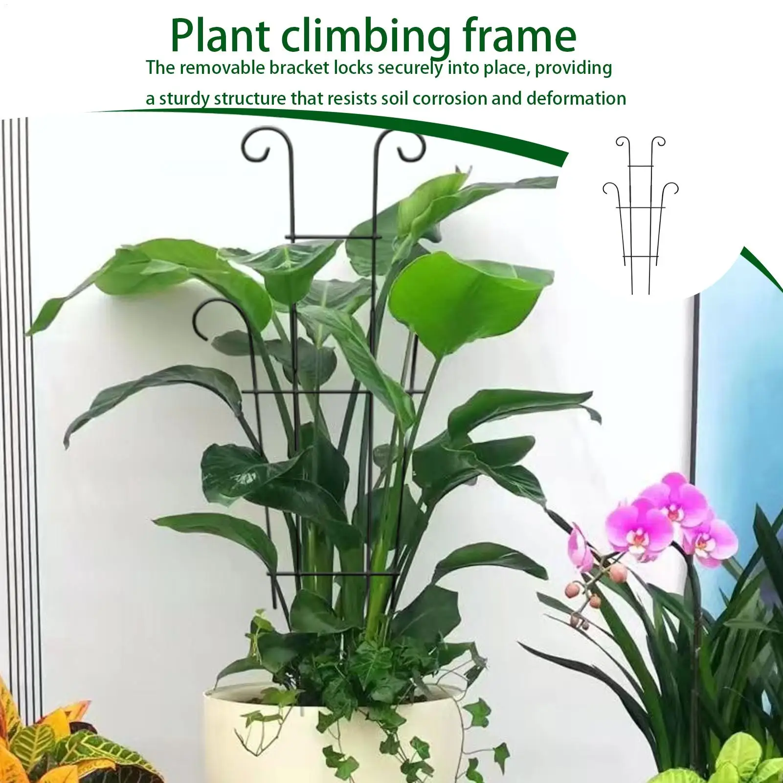 Trellis For Potted Plants Iron Heavy Duty Decorative Stackable Frame 23.62 Inch Plant Trellis Outdoor For Jasmine Honeysuckle
