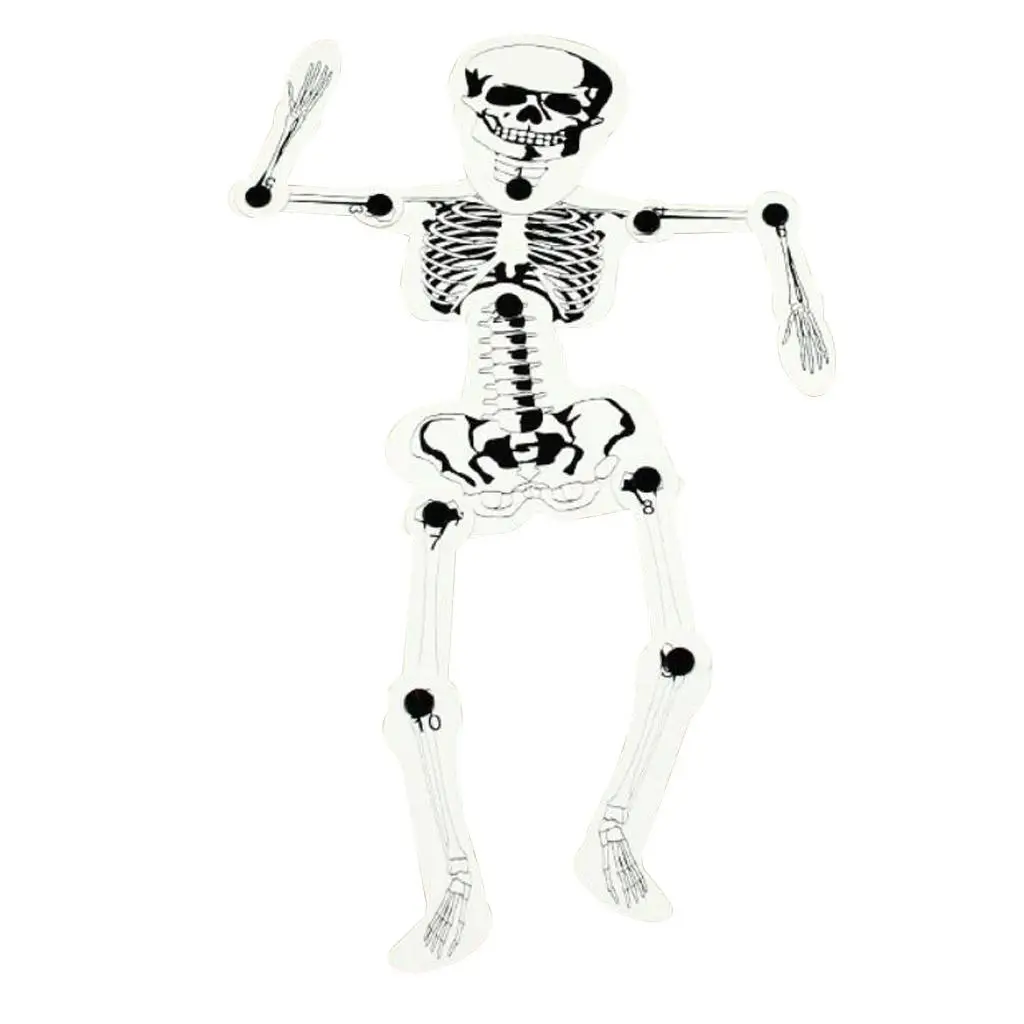Human Bone Structure Model DIY Science Experiment Kit Assembly Educational Toy for Home Study