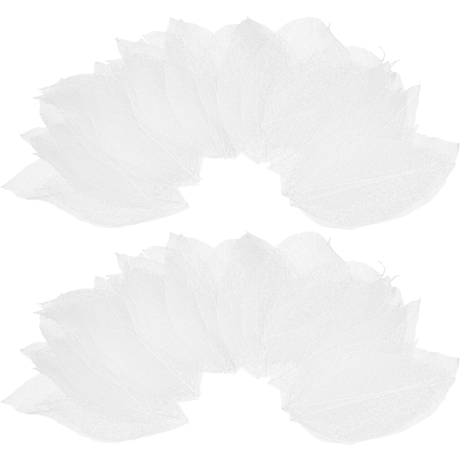 36 peças folhas prensadas secas para amuletos diy, arte em resina e enfeites artesanais, folhas, amuletos de folhas