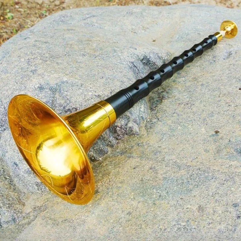 Chinese Suona Adult Beginners  - Bagpipe Practice Chanter 评论和价格