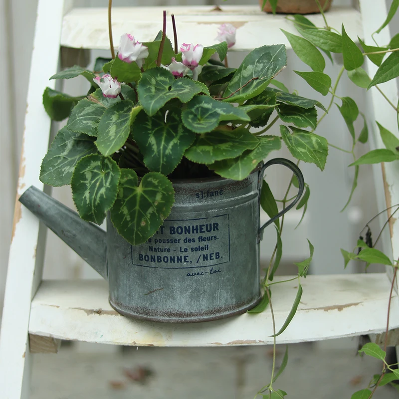 Retro wrought iron kettle flower pot flower device succulent indoor courtyard balcony grocery flower arrangement