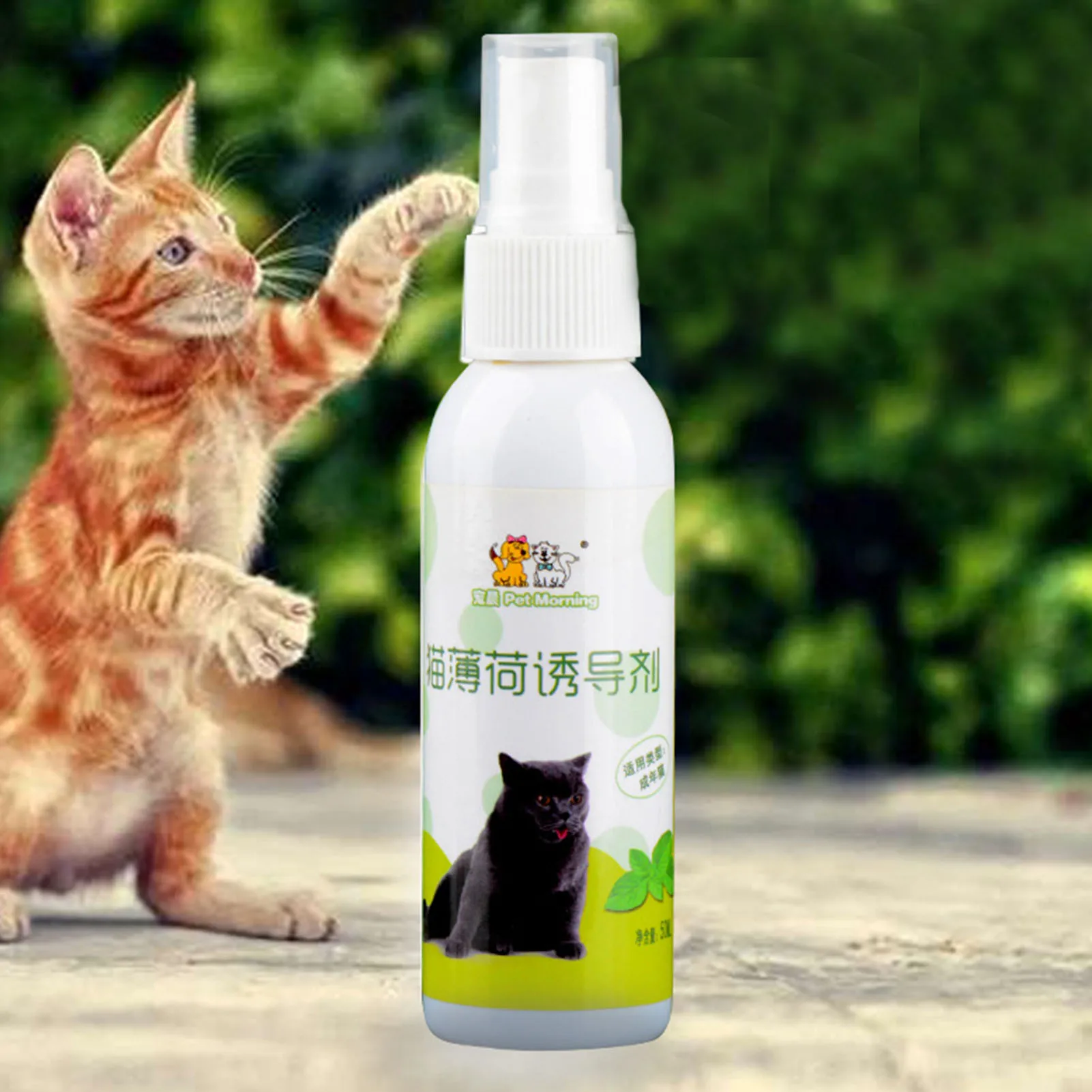 キャットニップスプレー,健康的な成分,キャットニップとキャットニップのスプレー,あなたの猫のための取り外し可能な芸術