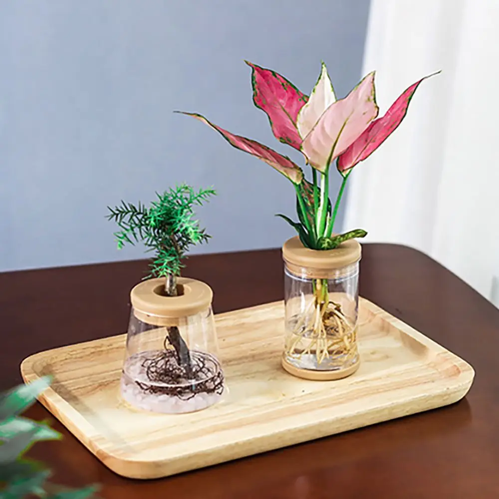 

Aquatic Plant Resin Material for Indoor/Outdoor Transparent Flower Planter Hydroponic Flowerpot Home Decor Garden Supplies