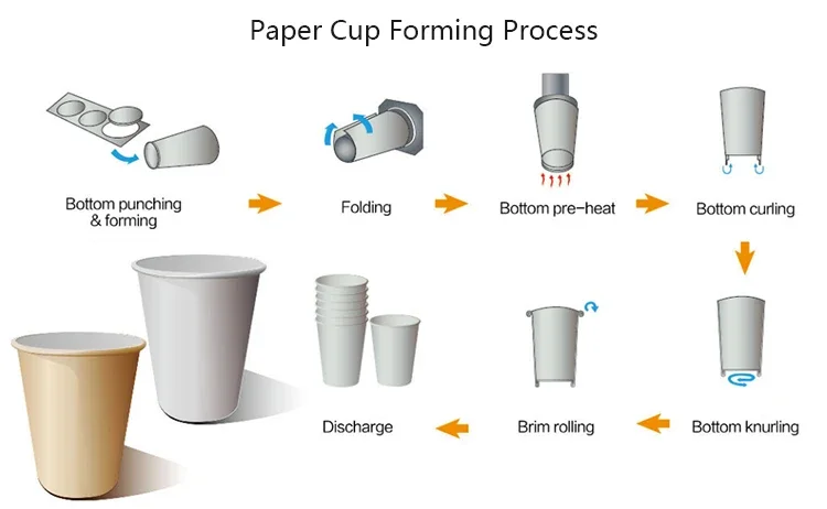 Automatic Disposable Coffee Tea Paper Cup Machine Disposable Paper Cup Machine Making in China