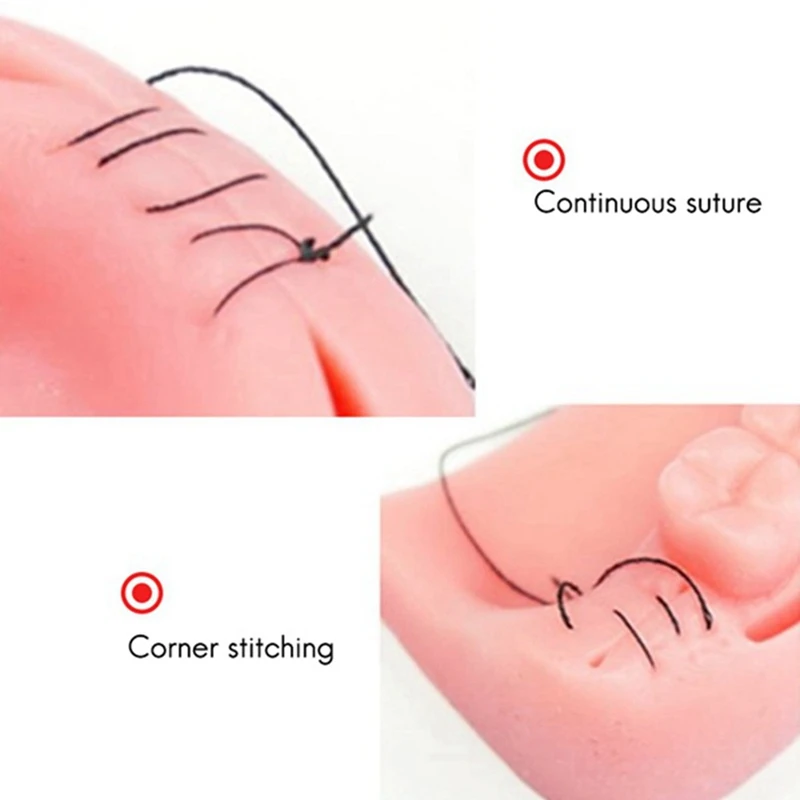 طقم تدريب خياطة اصطناعية من السيليكون لممارسة طبيب الأسنان والتدريب ، اللثة الفموية ، الأنواع الشائعة من الجروح ، 2 مجموعة