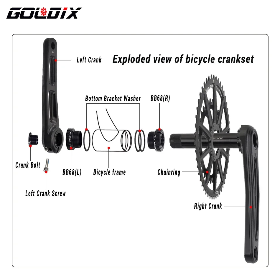 GOLDIX Ultralight Road Bike Crankset 165/170/175mm Crank Aluminum Alloy Hollow Bicycle Crankset Double Chainring 50-34T/53-39T