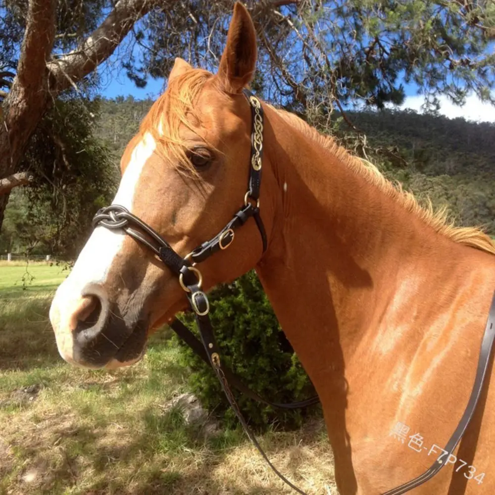 PU Leather Horses Bridle Halters Metal Buckle Protecting Horse Skin Horse Rein Harness Wygodna, trwała zasłona głowy konia