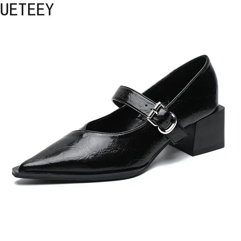 Designer Vintage Pointed Toe Women Mary Jane Shoes Fashion Shallow Buckle Shoes Spring Ladies Elegant Dress Thick Heel Shoes