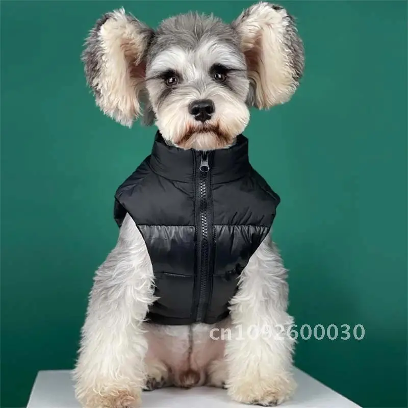 

Winter Pet Dog Clothes for Small Dogs Clothing French Fashion Chihuahua Jacket Down Dog PC2035 Bulldog Vest Accessories Warm