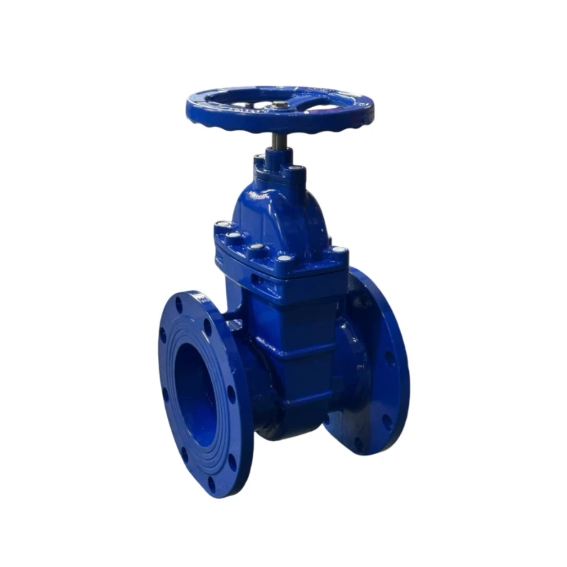China Manual Power Factory DN50-DN150 Standard Soft Seal Gate Valve Manufacturer Direct Sales