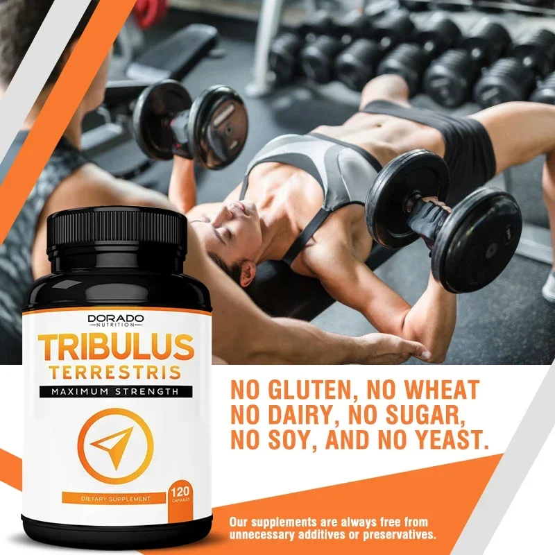 Natural Tribulus Terrestris - 10x Concentrated Extract Equivalent Supports Athletic Performance Gluten-Free, Non-GMO