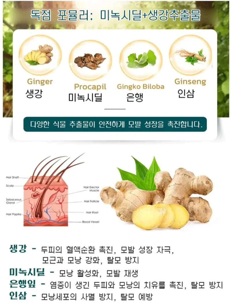 1 + 1 قوي لمنع تساقط الشعر الاصطناعية علاج جوهر الشعر نمو الشعر جوهر إصلاح بصيلات الشعر/تقوية الشعر/التحكم في الزيت #4
