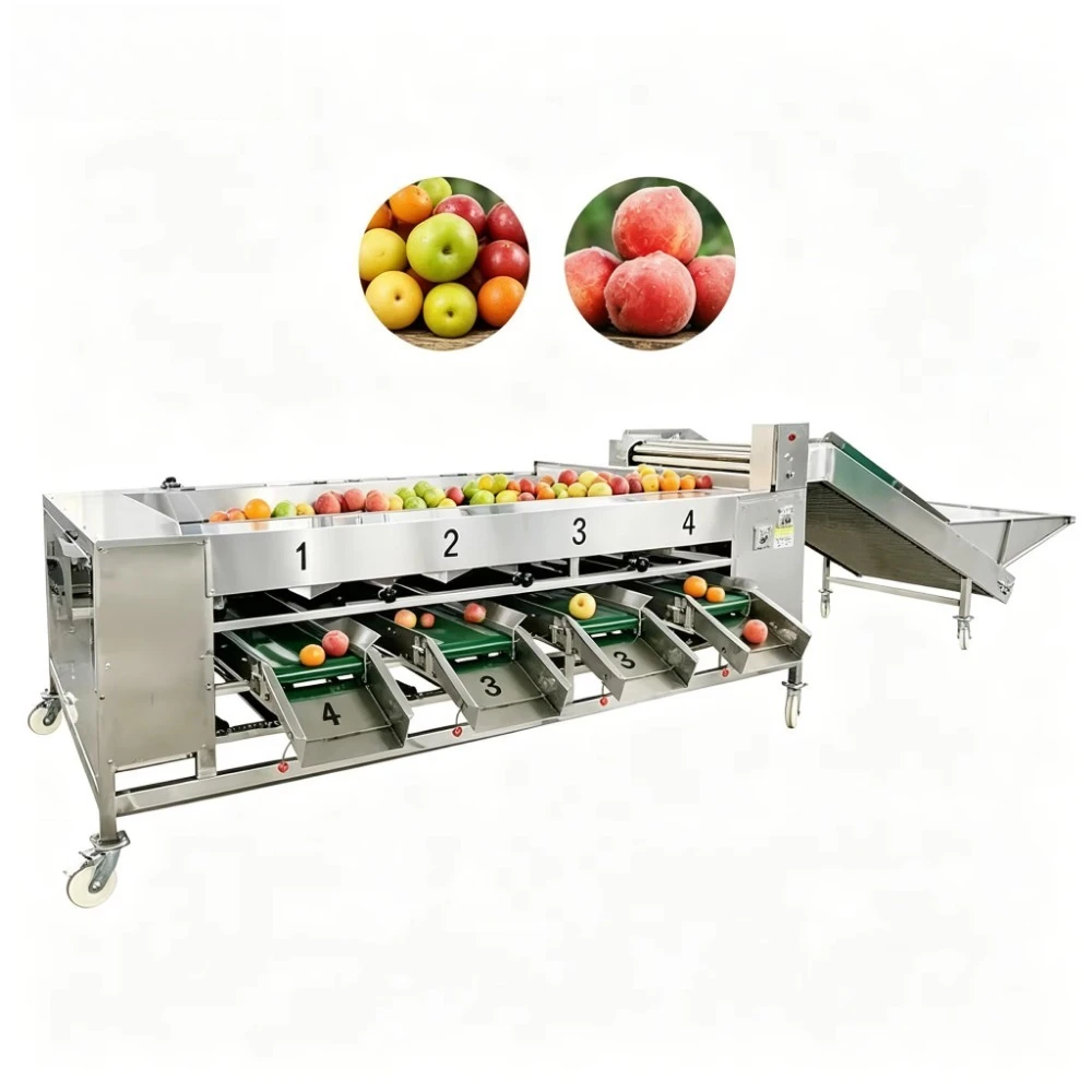 Fruit Washing Machine and Sorting Passion Fruit Sorting Machine Fruit Size Sorting Machine
