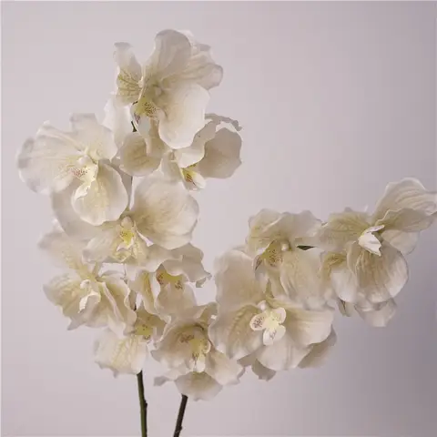 4pc artificial 7 cabeça vanda orquídea toque real flores látex bandai orquídea decoração de casamento festa em casa arranjo flora phalaenopsis