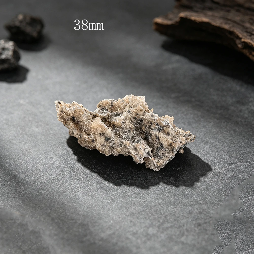 Natürliches Rohmineral-Exemplar mit transparenter Vitrine, Rohsteinprobe für Geologie-Bildung, Sammlung, Heimdekoration, Geschenk – Detail 4