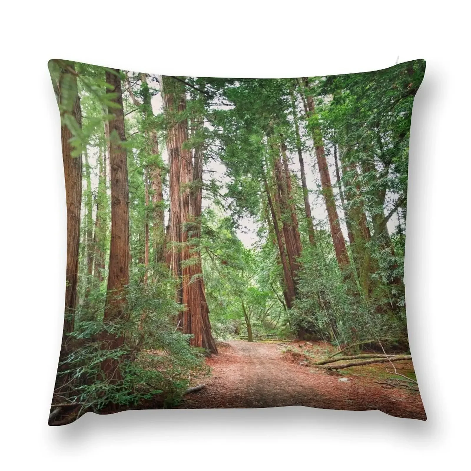 Muir Wood Redwoods Throw Pillow luxury sofa pillows anime girl christmas decorations for home 2025 pillow