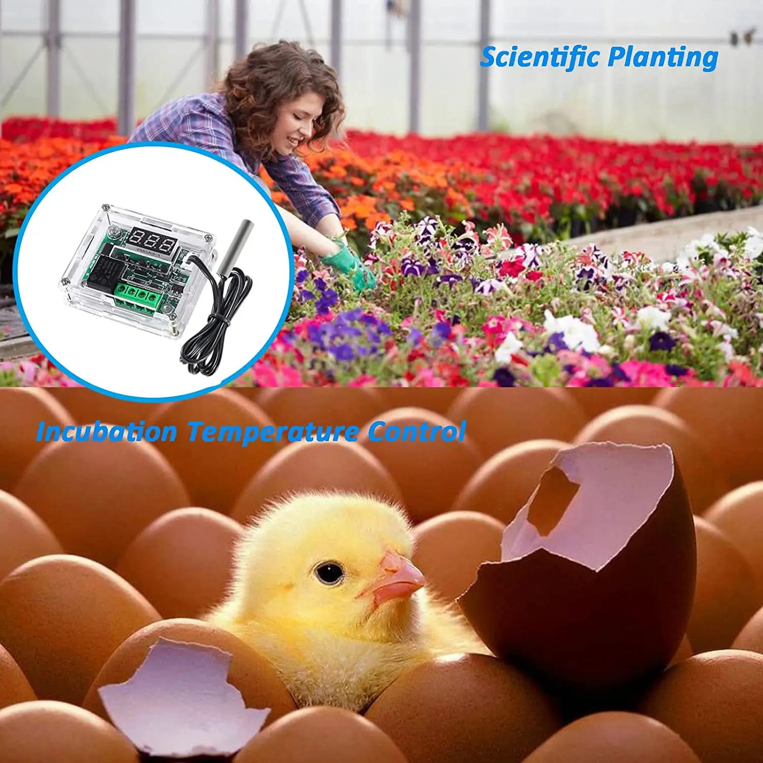 Плата цифрового контроллера температуры BISM W1209 DC 12 В -50-110 ° Переключатель модуля электронного контроля температуры C (1 шт.)