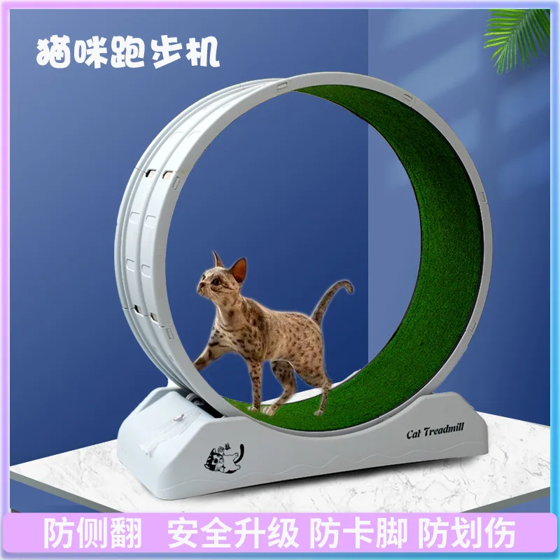 

Suitable forCross-border pet cat dog treadmill fitness exercise silent climbing frame toy running wheel treadmil