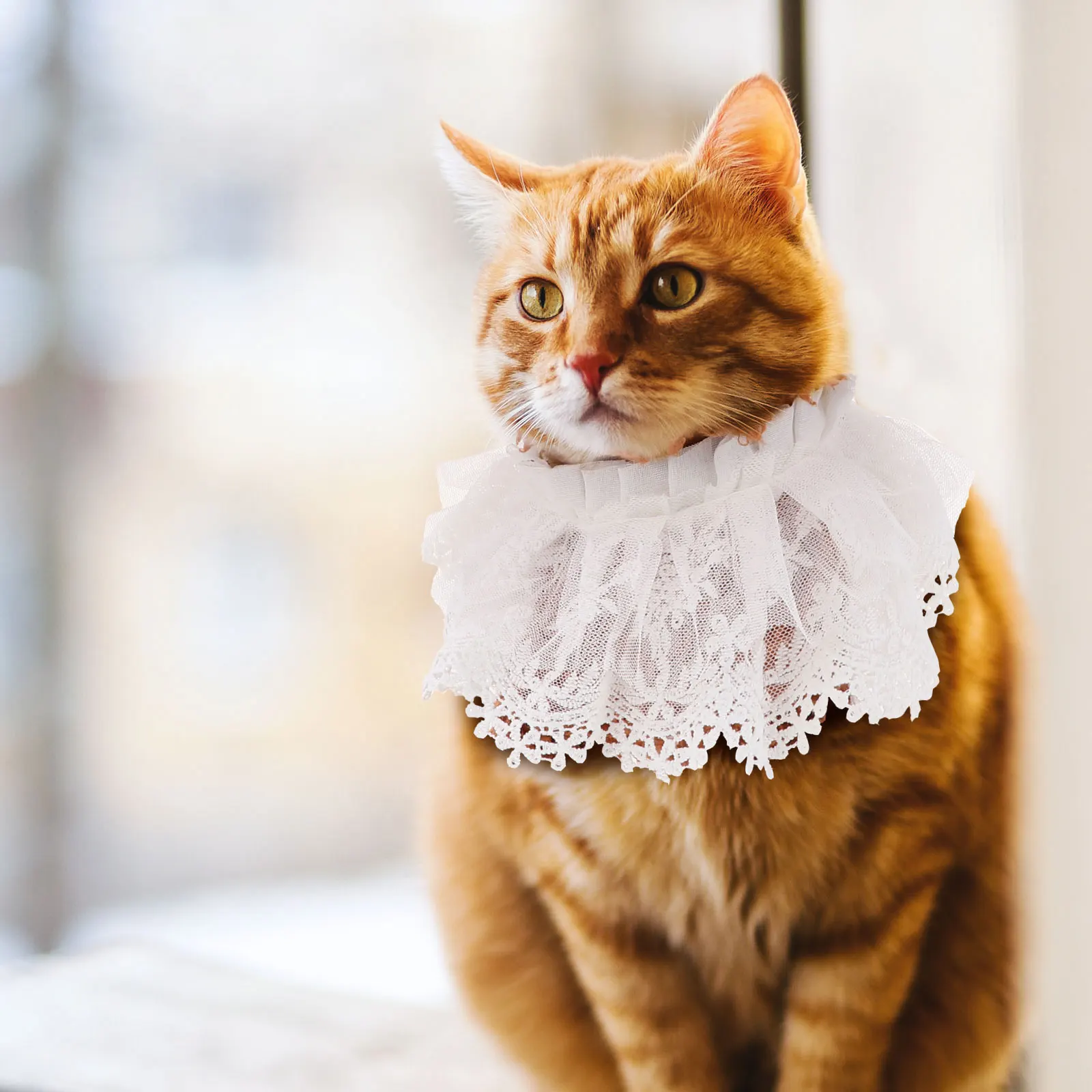 

Pearl Cat Collar Double Layer Lace Necklace Scarf Adjustable Straps Stylish Pet Outfits Costumes Wedding Party Accessories