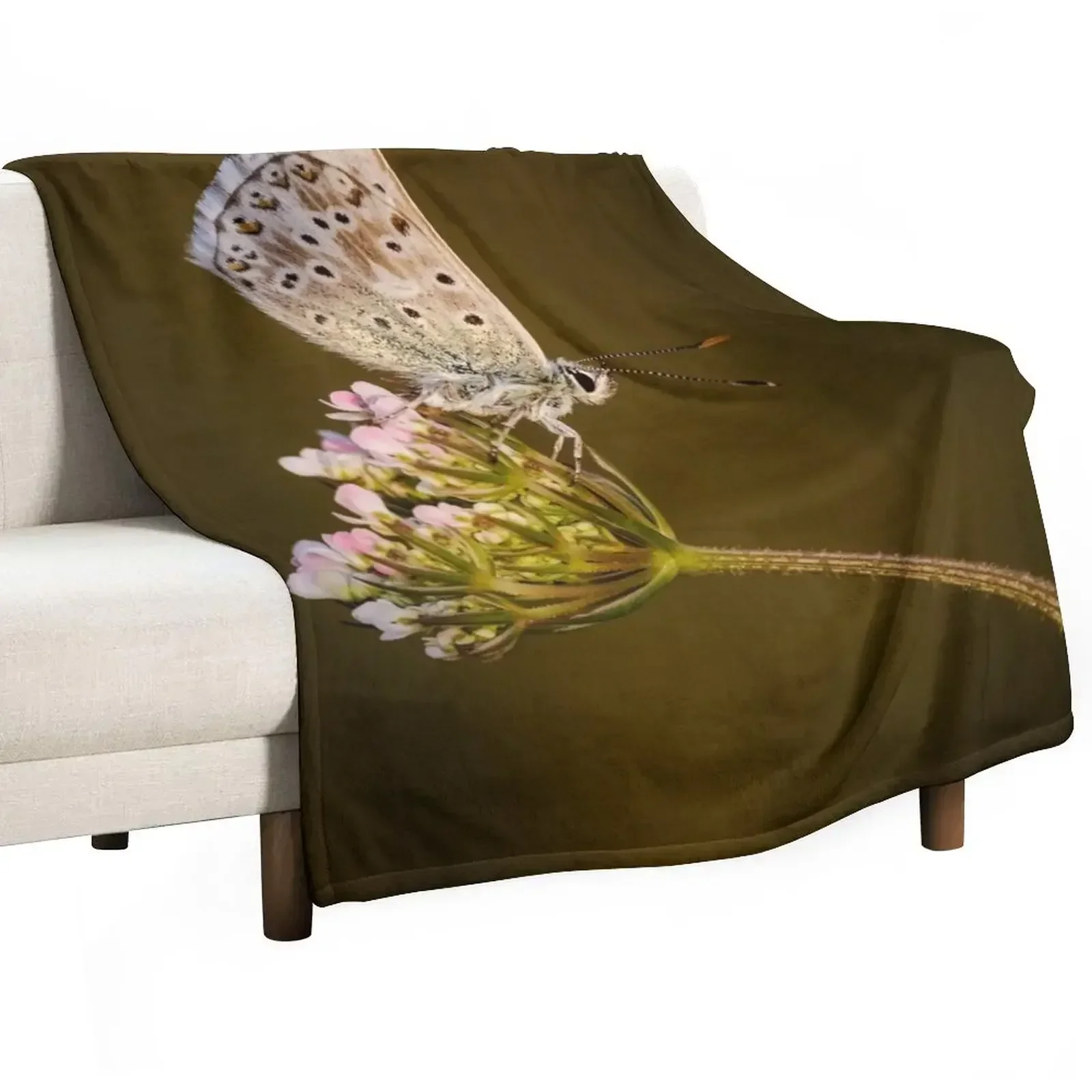 

Chalkhill Blue Throw Blanket Warm Throw Blanket Gift for Anniversary