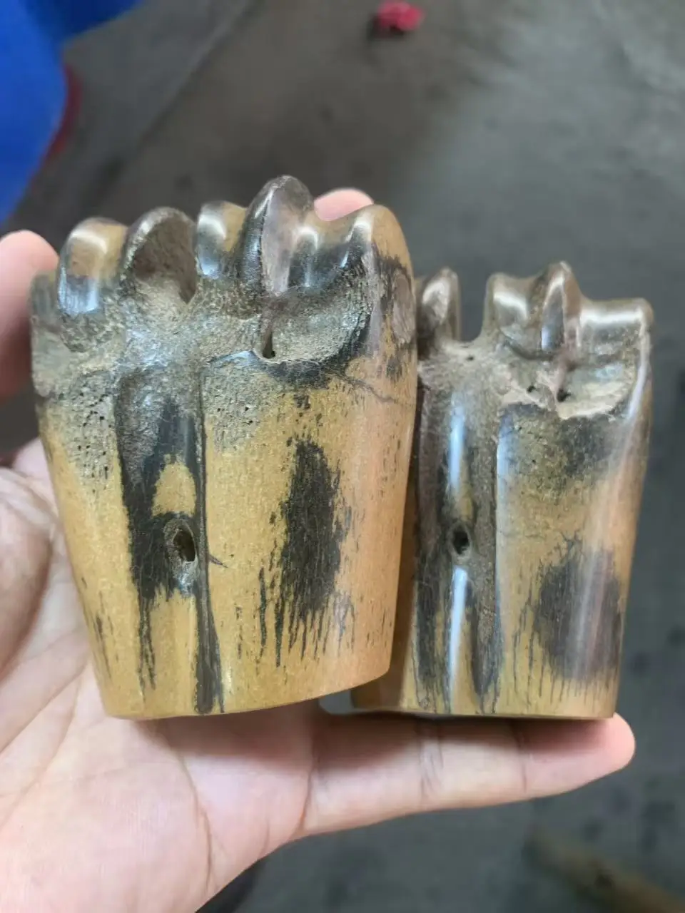 

Rare Old Fossil saber-toothed tiger claws bone Statue / Sculpture,Free shipping