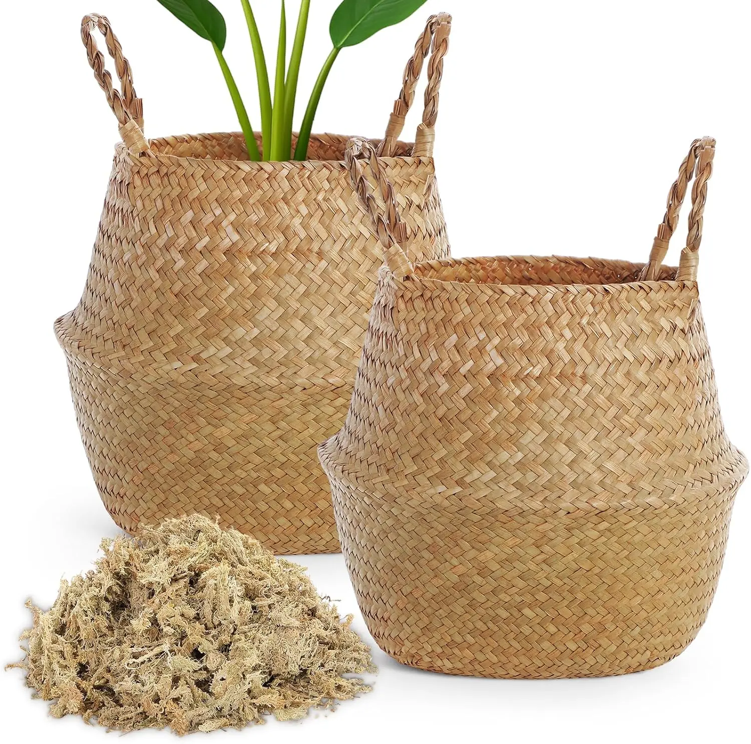 Plant Basket with Handle 10 Inch Woven Seagrass Belly Basket and Artificial Moss for House Plants Picnic