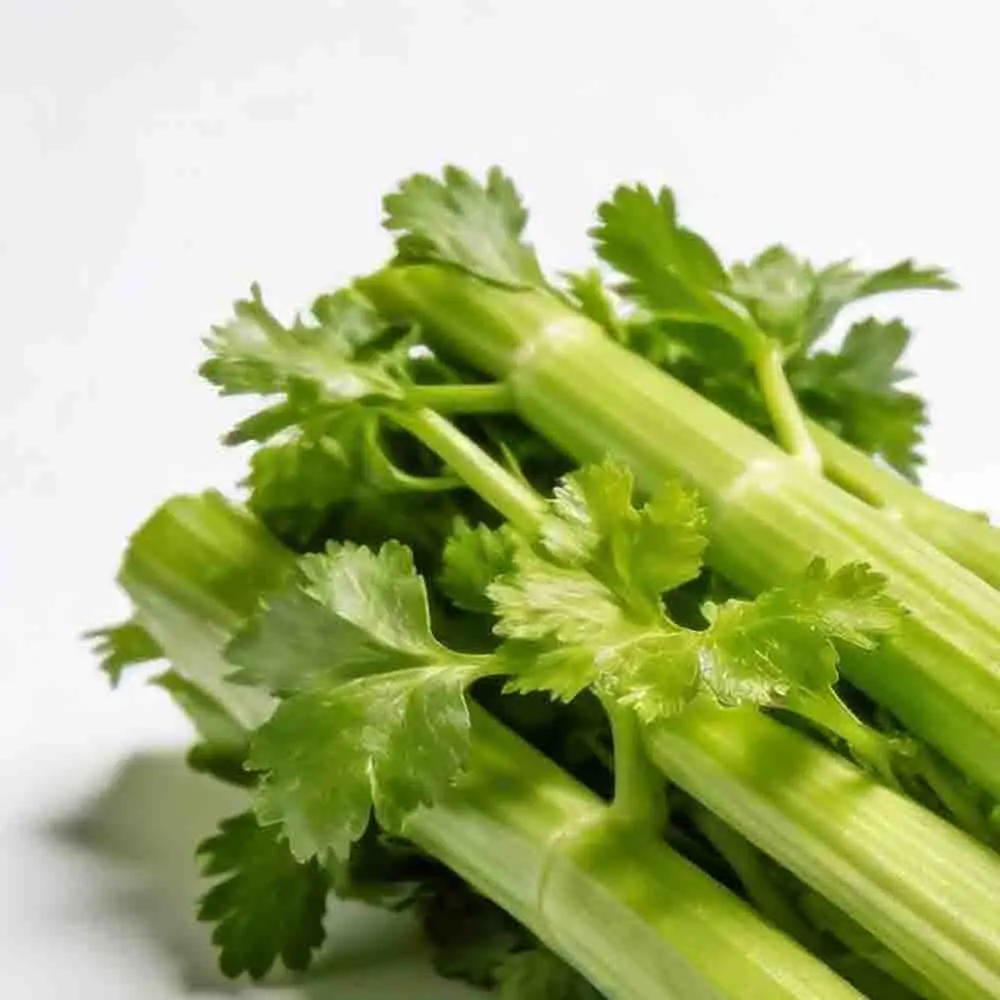 

GEPRC RAD MINI 1W 5.8G 1000mW FPV VTX 2-6S 20X20mm Аксессуары для радиоуправления