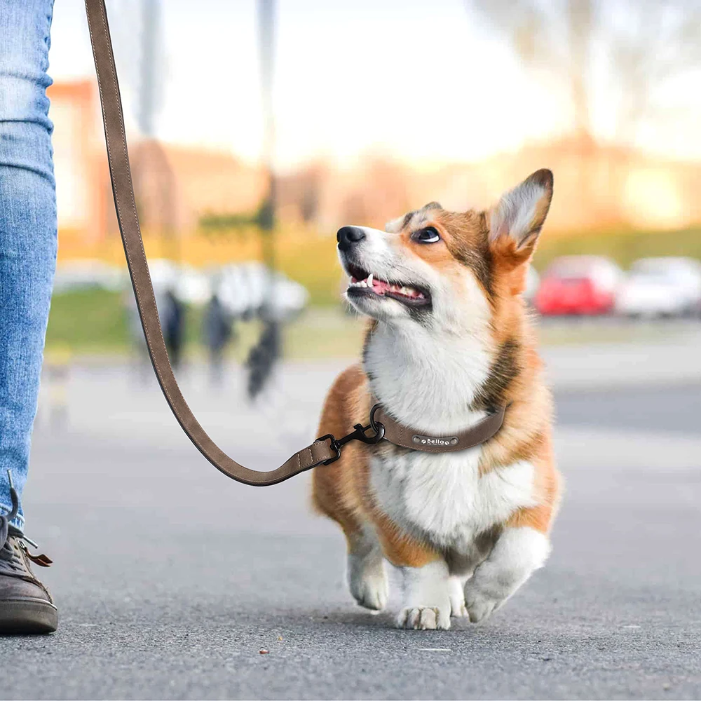 Personalisiertes PU-Leder-Hundehalsband-Leinen-Set, weich gepolsterte Hundehalsbänder, gravierte Haustier-ID-Halskette mit Leine für kleine große Hunde, Mops – Detail 21