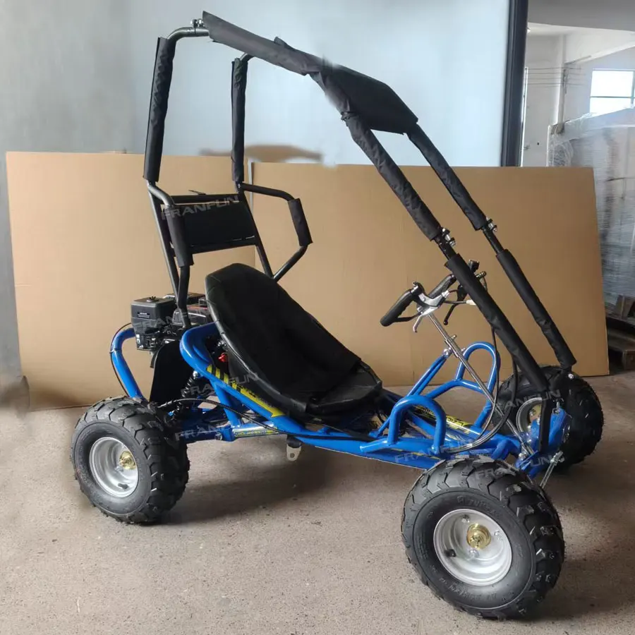 Factory Direct No MOQ Limit 196cc Single Cylinder Go Karts off Road Fuel Backyard Grass Kart Cross Buggy with Roll Cage Protect