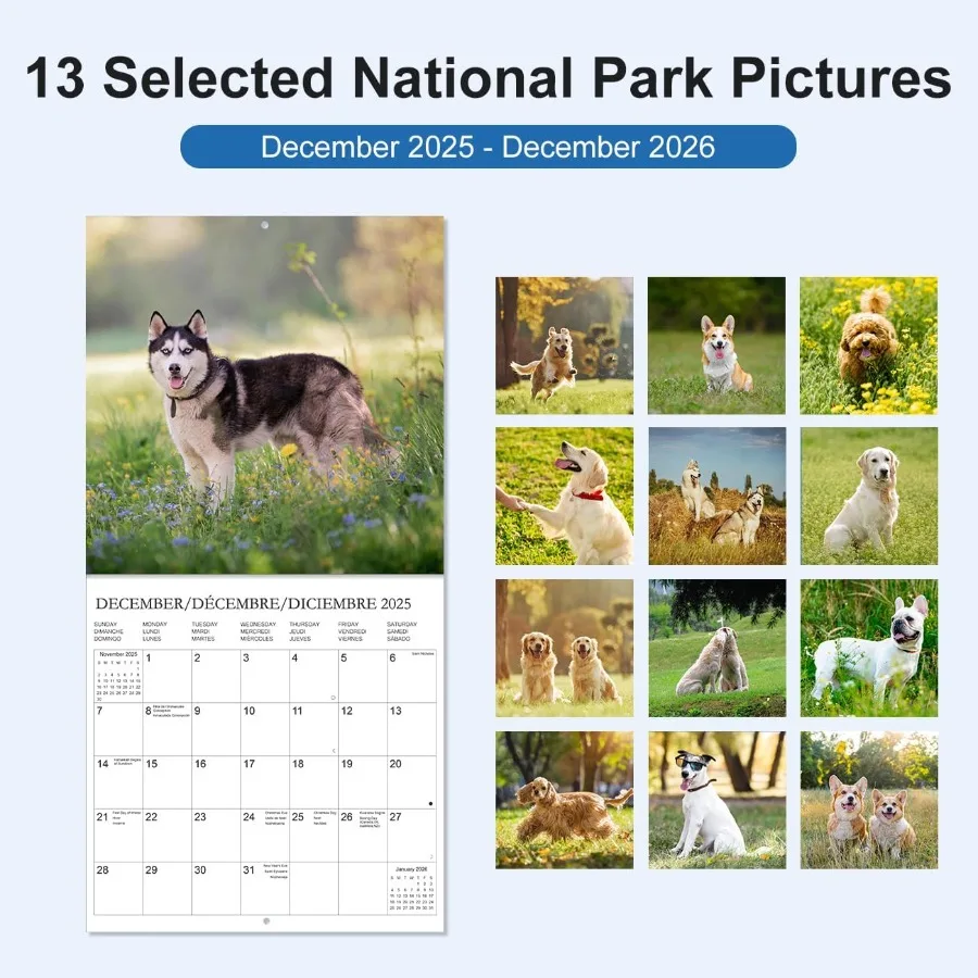 Kalender 2026 - Wandkalender van december 2025 tot december 2026 3 talen Engels Freh Spaans 2026 Kalender met vakantie M