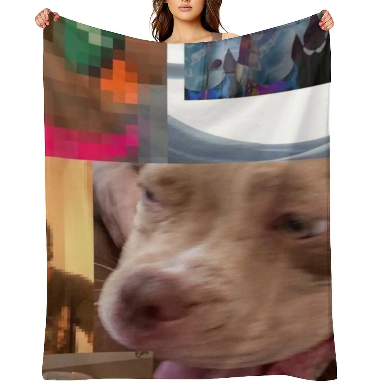 

The Lo-Fis- Steve Lacy Album Throw Blanket Moving Plaid on the sofa Camping Cute Blankets