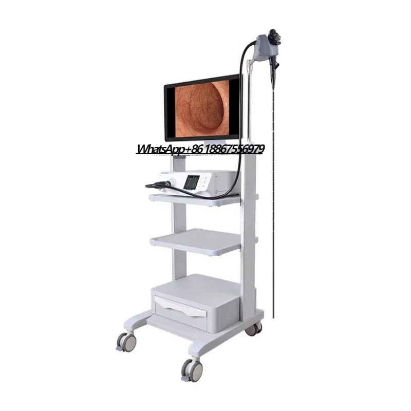 Flexible veterinary gastroscope endoscope / Vet endoscopy for cat dog horse and dolphin HD Vet endoscope 3 Meters Large animal g