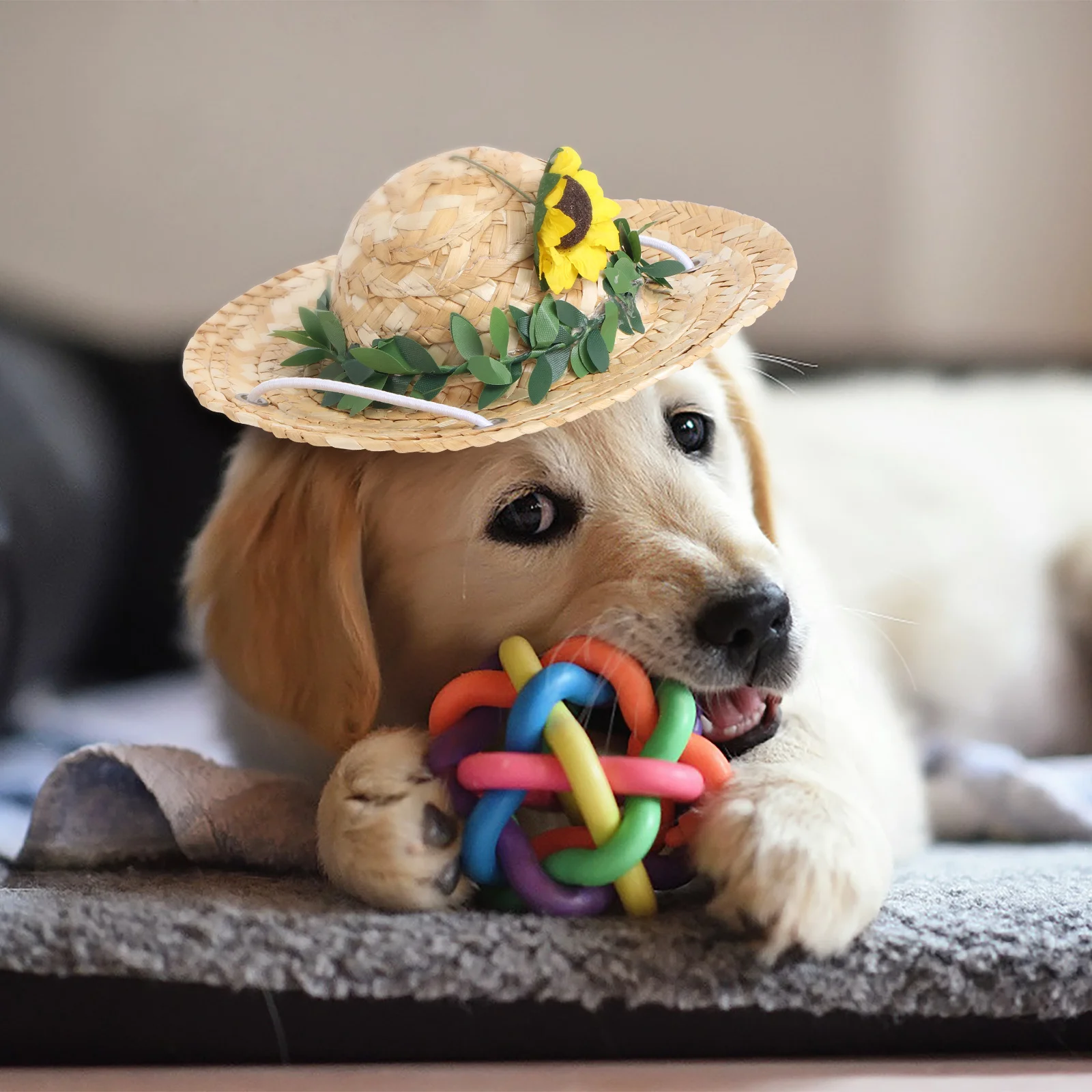 

1Pcs Pet Straw Hat Sunflower Decor Simple Summer Shade Lovely Pet Sunflower Straw Woven Hat for Daily Wear Photo Shoot