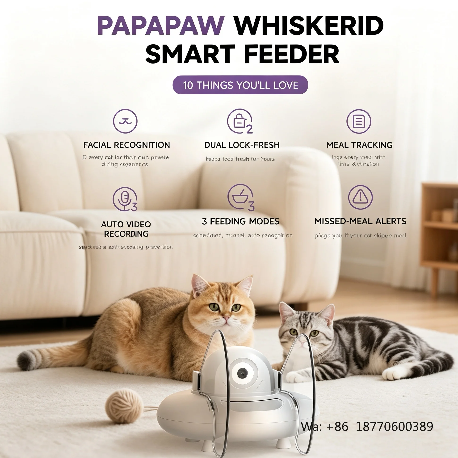 Facial Recognition Smart Pet Feeder for Multiple Cats Wet and Dry Food App Control RFID  Automatic Cat Feeder Upgraded Version