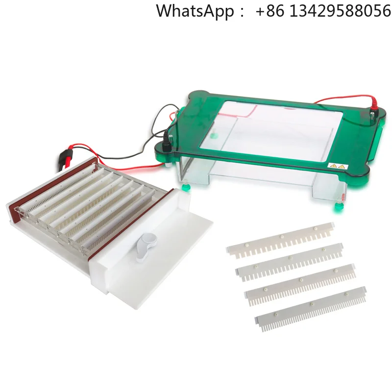 Horizontal Electrophoresis Machine/Apparatus For Gene Test Dna Test Molecular Diagnosis