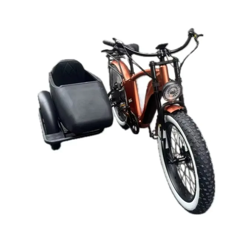 sidecar adult tricycle cargo tricycle 750 w hidden etrike sidecar