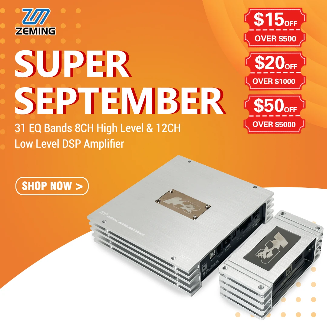 Dsp Customization P…