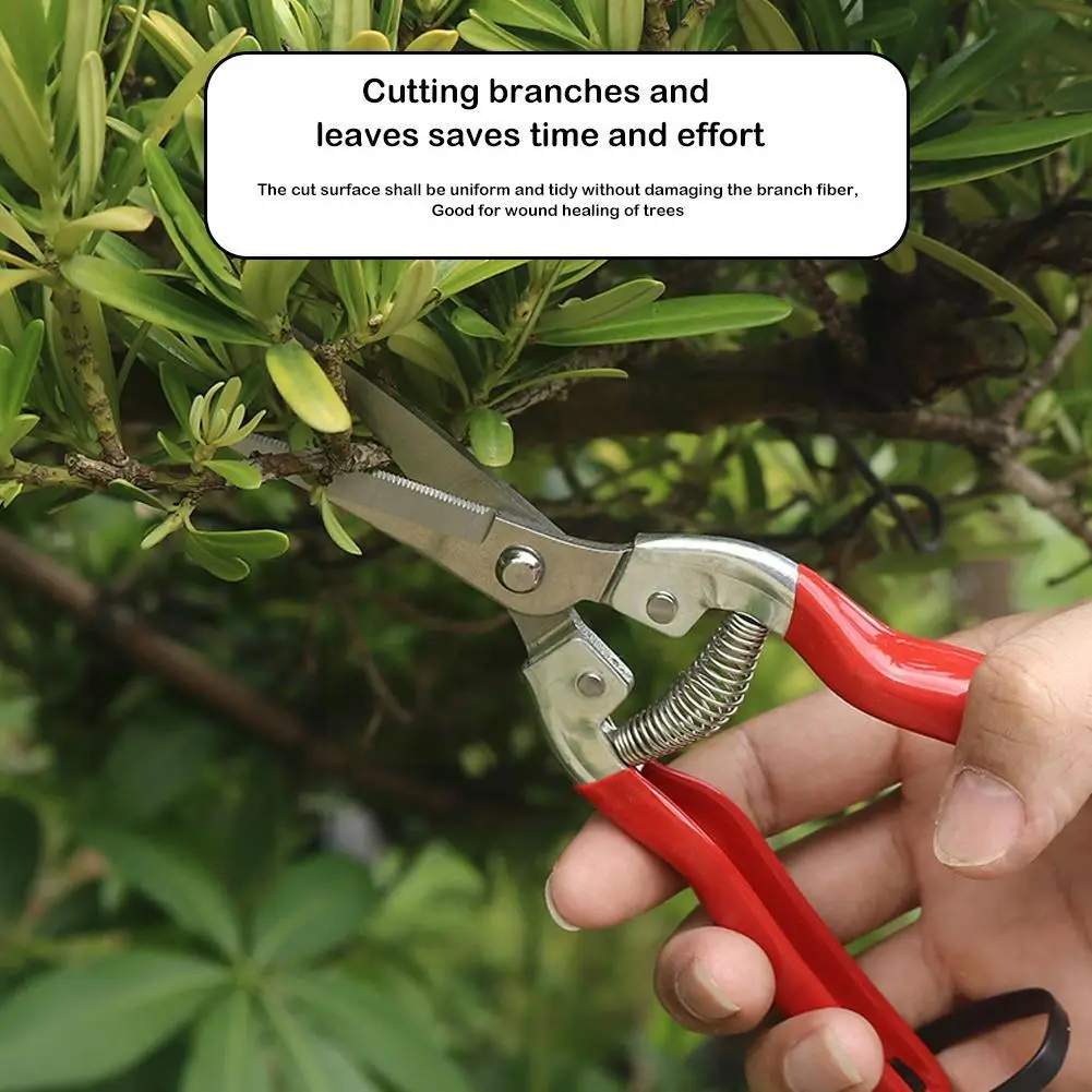 1PC Gardening Hand Pruner Garden Scissors Pruning Shears Leaf Plant Straight Snips Micro-Tip Trimmer Pruning Florist Scisso L5J9