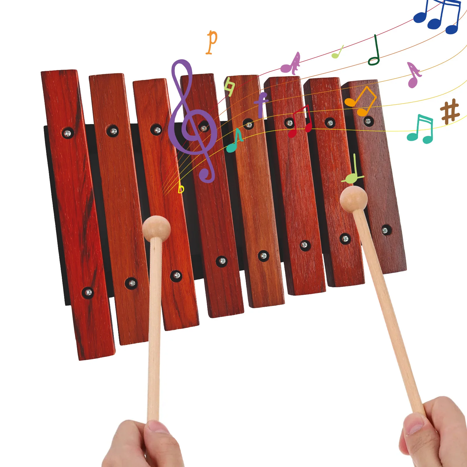 8 Notes Wooden Xylophone Musical Instrument with 2 Wooden Mallets Birch Pine Wooden Small Xylophone Percussion Instrument