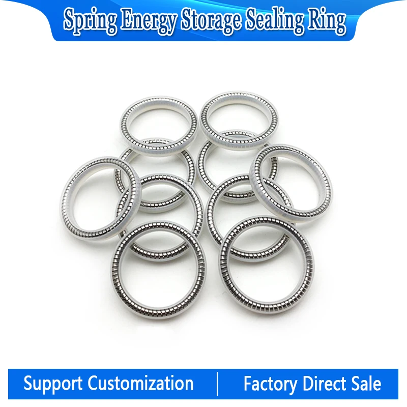 UPE LNG Nozzle Spring Energized Seals with Gasket Dosing Gun stainless steel Spring Seal White 5pcs