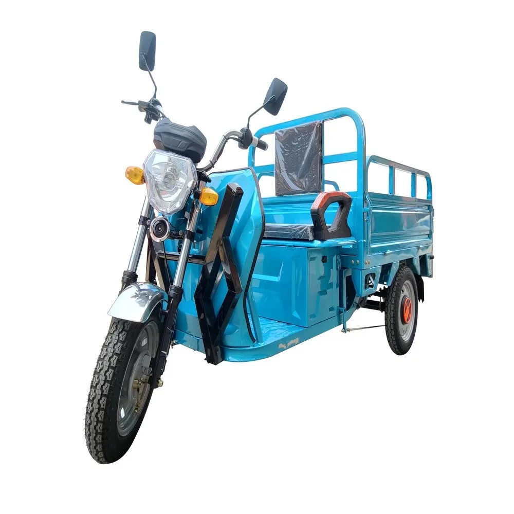 High Capacity 60V 1000W Powerful Motor Electric Cargo Tricycle, Adult 3 Wheel Delivery Bike