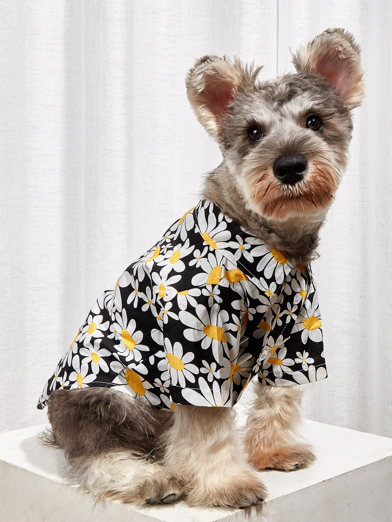 Hunde kleidung für kleine Hunde Gänseblümchen bedrucktes Kostüm Welpen hemd Hündchen Haustier kleidung weiche Kleidung Kleidung