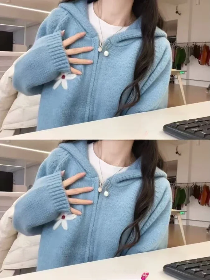Korean Style Sweet Blue Hooded Zipper Knitted Open Cardigan Women's Autumn Winter Loose Flower Embroidery Sweater Jacket
