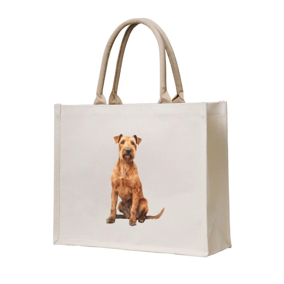 

Irish Terrier best friend Tote Bag bag luxury women Lady bag bags woman 2025 shopper women canvas