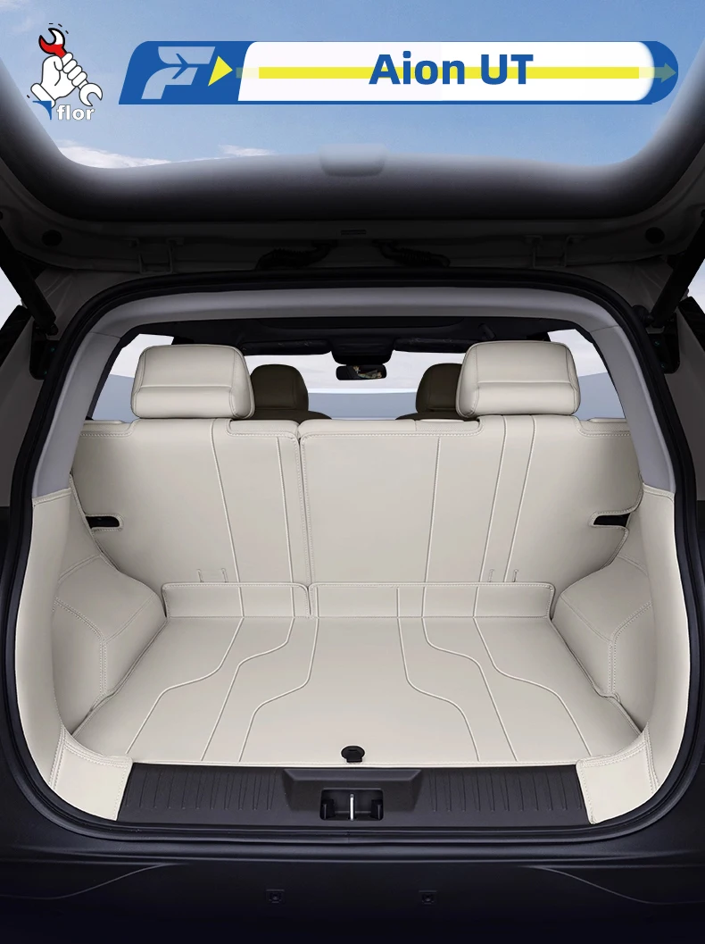 For Aion Ut 2025 Ca…