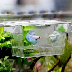 Fish Breeding Breeder Box Transparent Home Aquarium Baby Fish Hatchery Isolation Net Fish Tank Incubator Box Aquarium Accessory