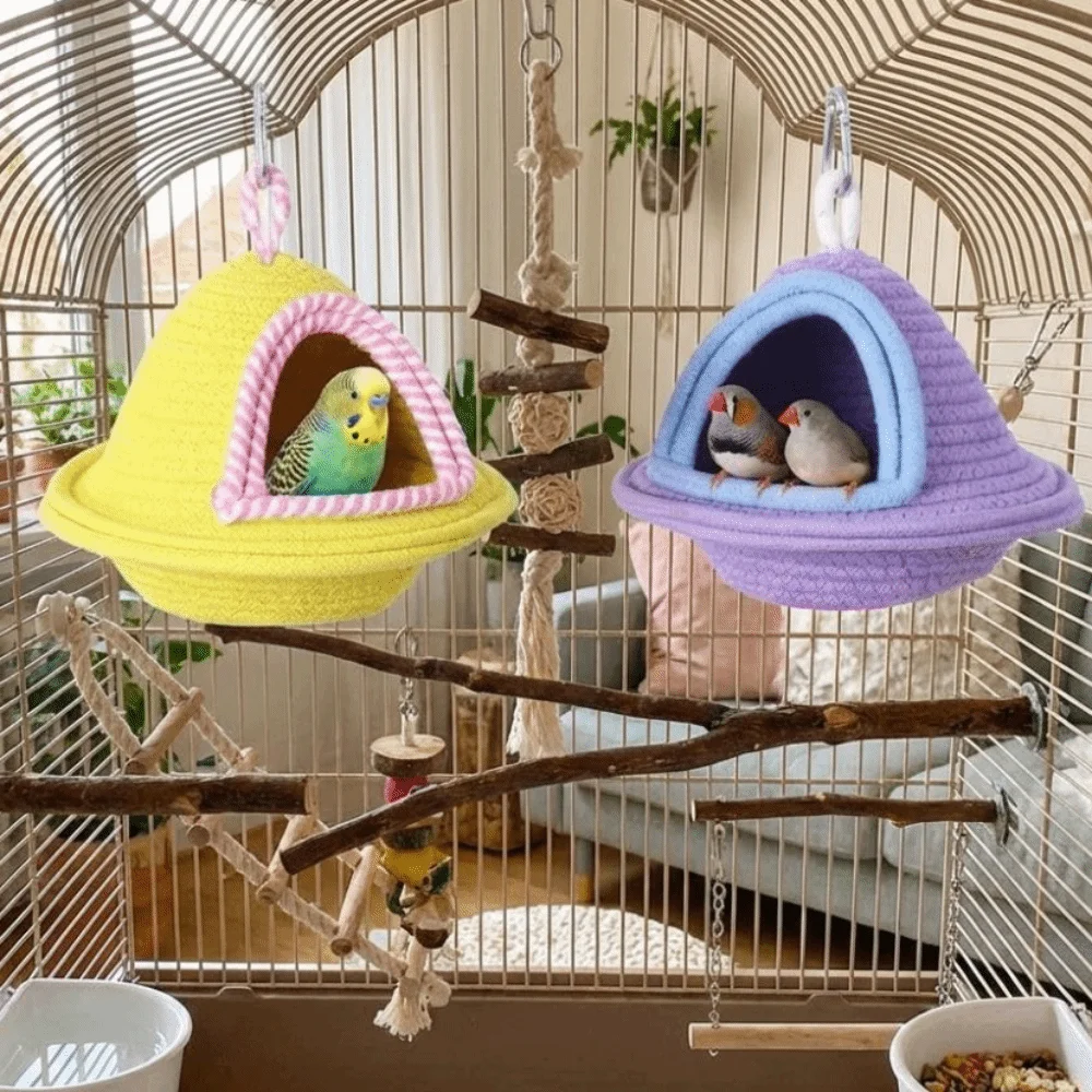 #43 Best Bird Supplies to Buy In 2026