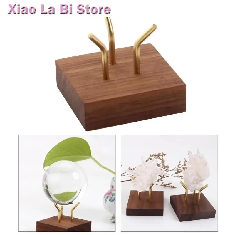 

XXFD Fossils and Marble Base Stylish Display Holder for Agates Shells and Coral